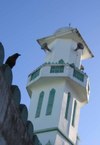 Mosque_crow_for_web